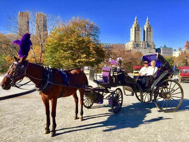 New York pune capăt tradiției căruțelor trase de cai din Central Park: va intra în vigoare în 2028